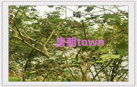 唐朝town