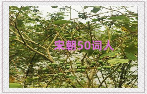 宋朝50词人